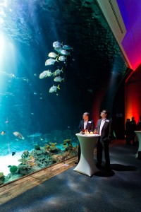 Eventfotografie während einer Festveranstaltung vor dem Aquarium des Hagenbecker Tierparks in Hamburg